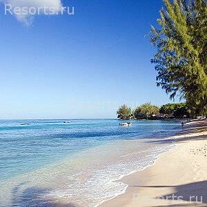 Coral Reef Club 33